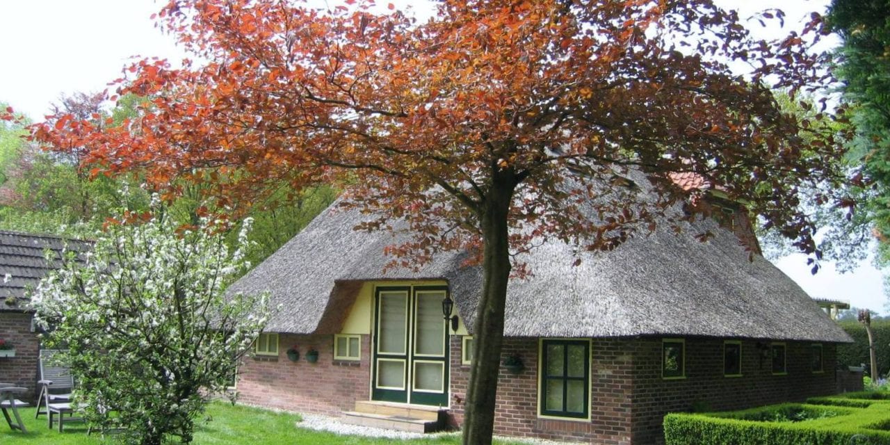 Bed en Breakfast ‘t Kragelhuus
