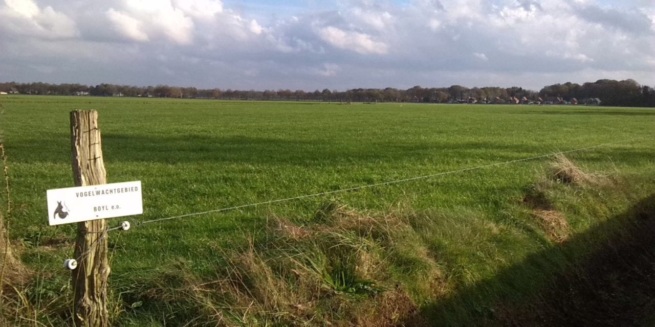 Vogelwacht Boyl en omstreken