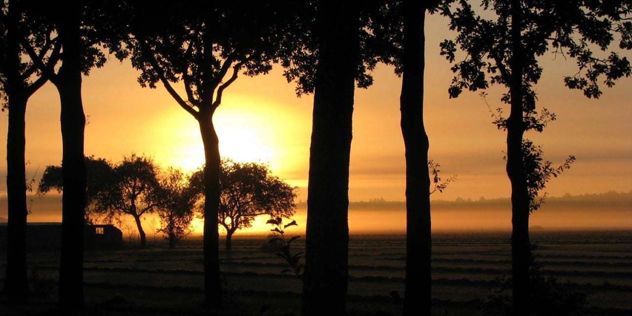 Bed en Breakfast Het Drents-Friese Uitzicht