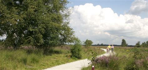 FIETSTOCHT EN EXCURSIE NAAR KAASBOERDERIJ (ook met de duofiets)