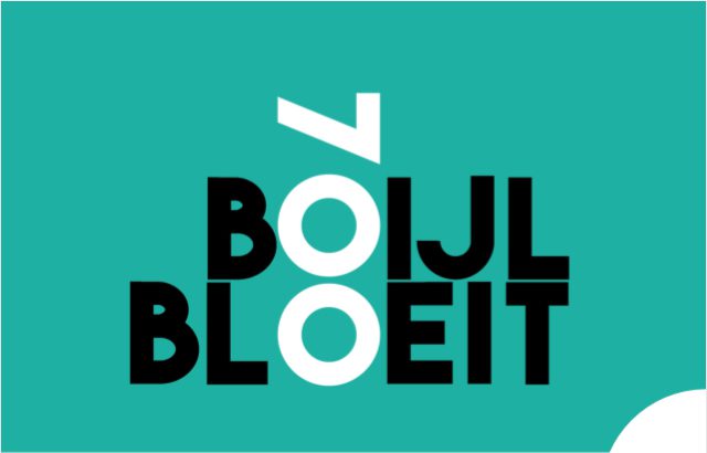 Bestel de unieke jubileumvlag Boijl 700 jaar
